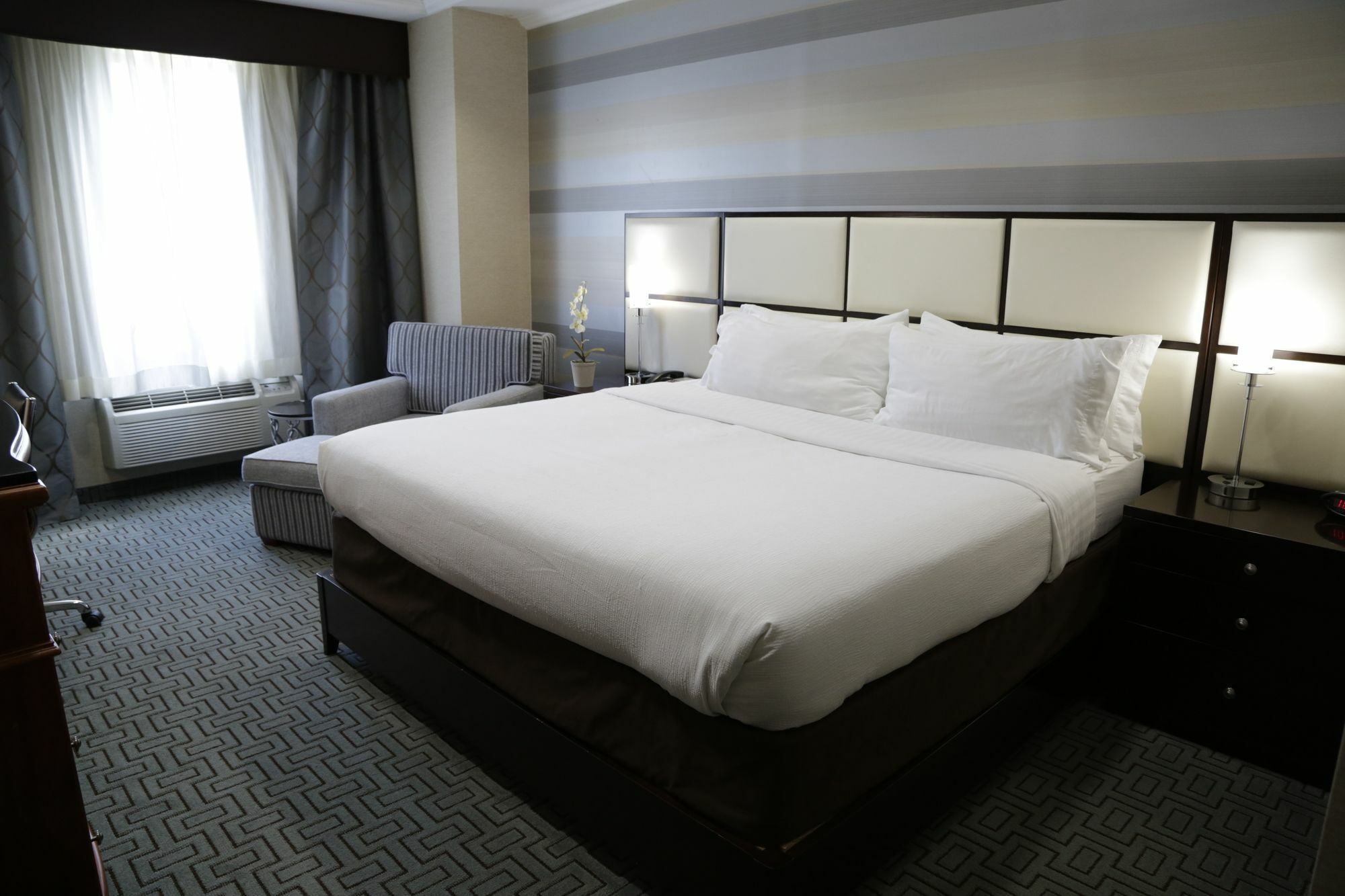 Holiday Inn Plainview-Long Island By Ihg Zewnętrze zdjęcie